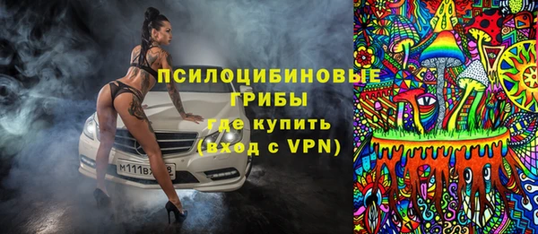 дурь Алексеевка