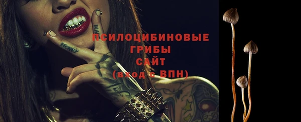 прущие грибы Алексин