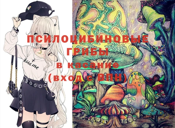 дурь Алексеевка